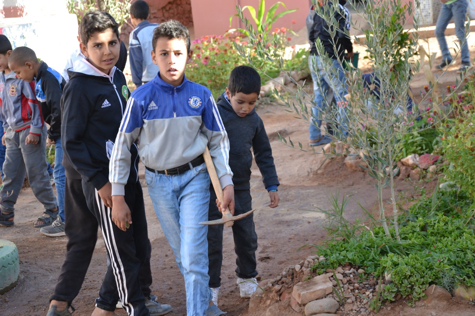 Participation à une action écologique