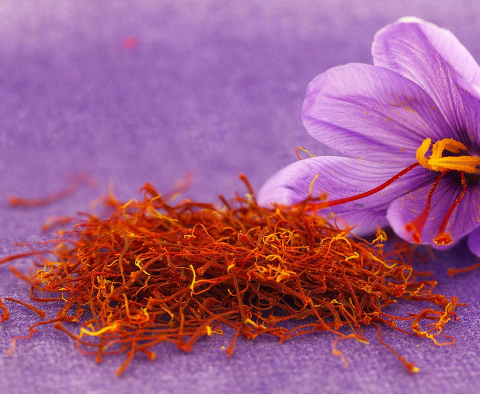 Le safran : l’or rouge du Maroc